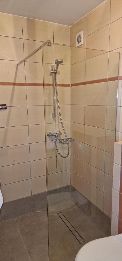 זקופאנה Apartament Krokus מראה חיצוני תמונה