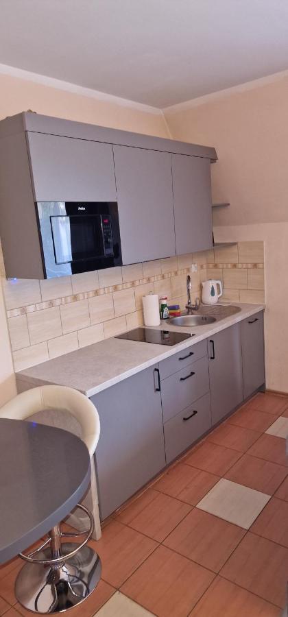 זקופאנה Apartament Krokus מראה חיצוני תמונה