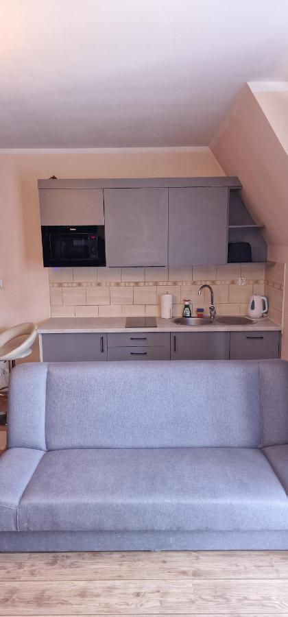 זקופאנה Apartament Krokus מראה חיצוני תמונה